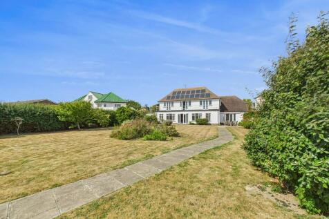 Rear garden (2)