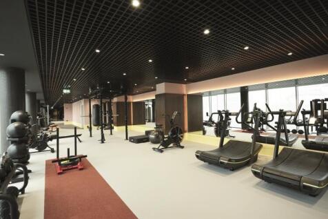 8.The Gym