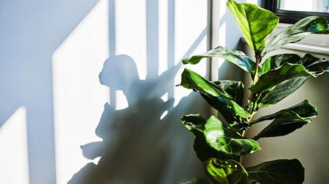 UNCLE_Manchester_...