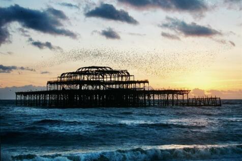West Pier Birds .jpg