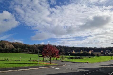 20251028_131420 (002).jpg