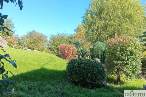 Elm Road Rear Garden