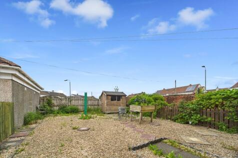 Back Garden