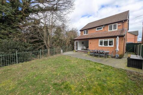 Property Image 29