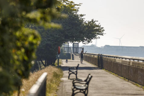 Riverside walk at Royal Wharf