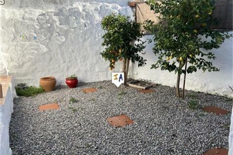 Image 15