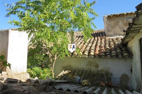 Image 13