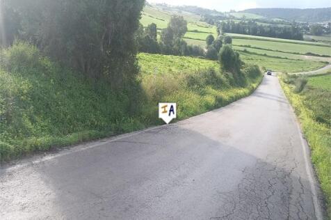 Image 15