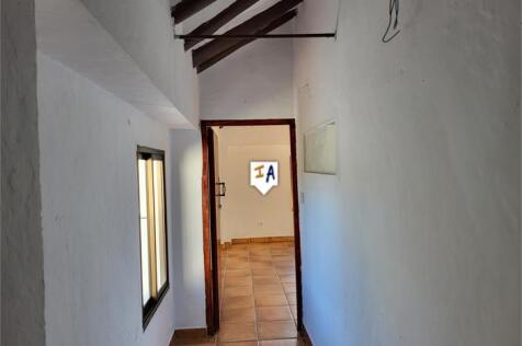 Image 13