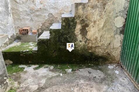 Image 15