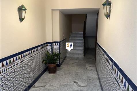 Image 15