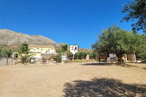 Image 15