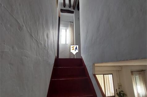 Image 13