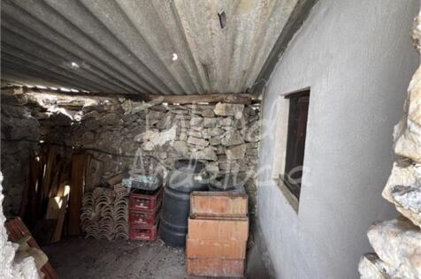 Image 15