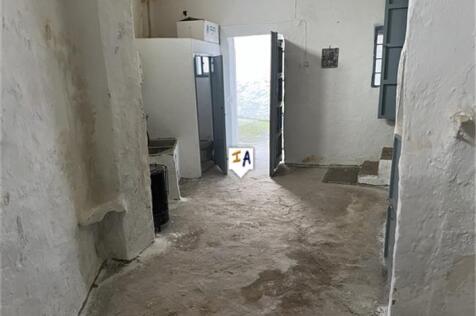 Image 12