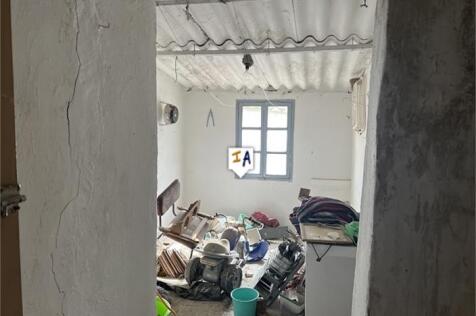 Image 15