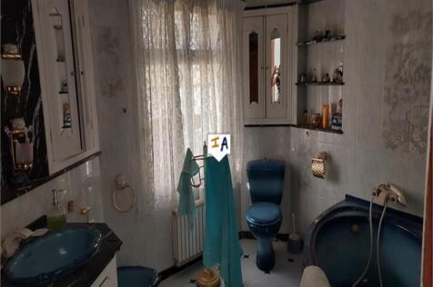 Image 15