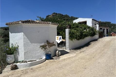 Image 15