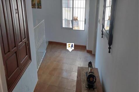 Image 13