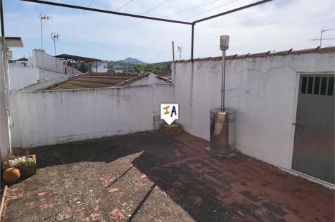 Image 12
