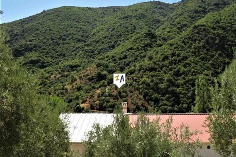 Image 15