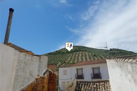 Image 12
