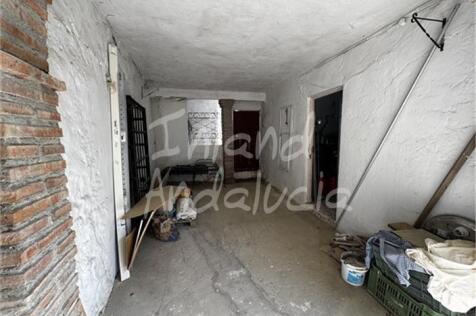 Image 13