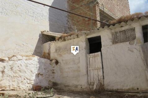 Image 11