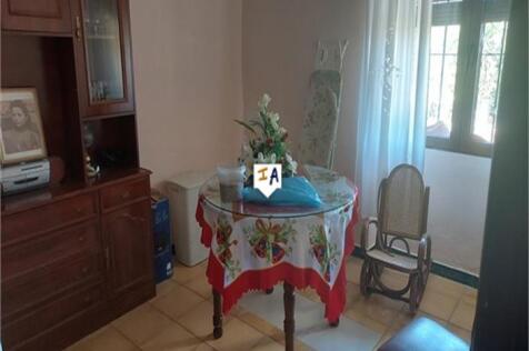 Image 13