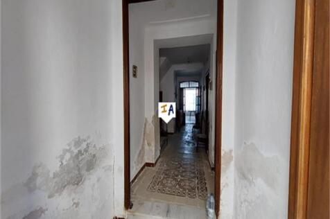 Image 13