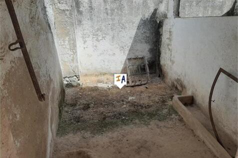 Image 14