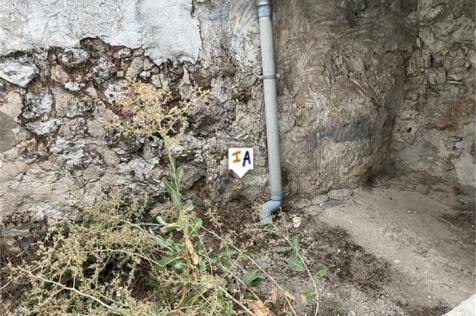 Image 15