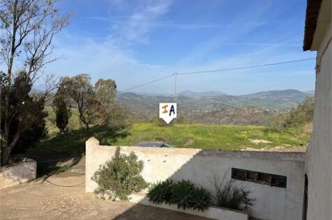Image 15