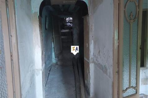 Image 13