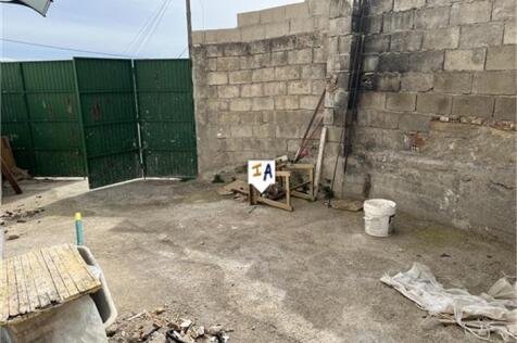 Image 15