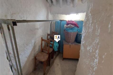 Image 11