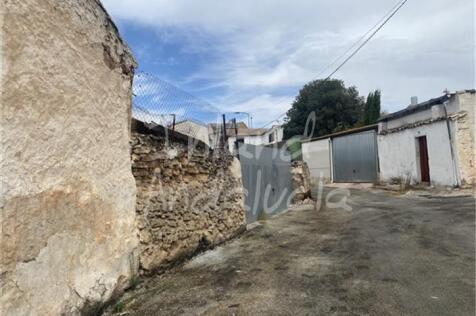 Image 12