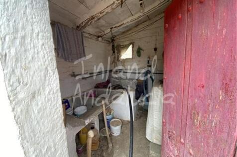 Image 15