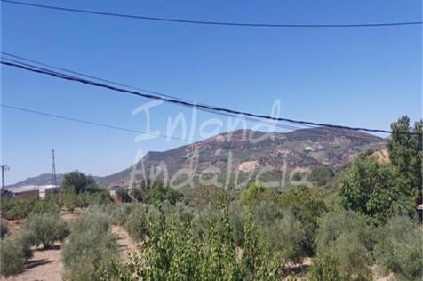 Image 15