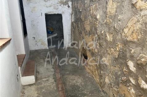 Image 15