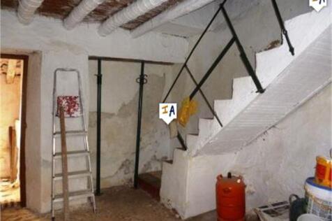 Image 15