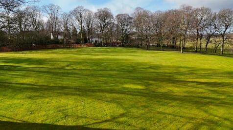 Communal Grounds