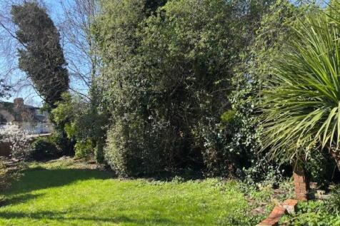 Garden 3.jpg