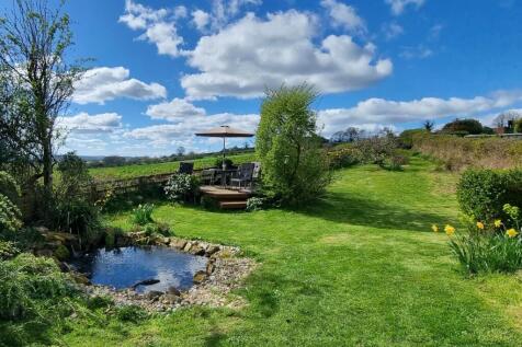 Pond Rear Garden.jpg