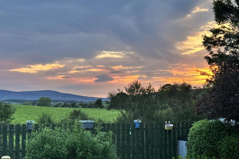 Evening view