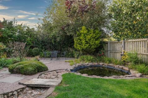 Rear garden pond