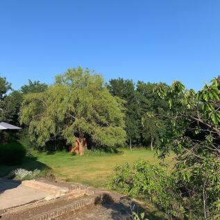 Property Image 22