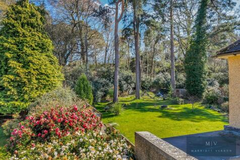 Pinewood Close 19 MV-14.jpg