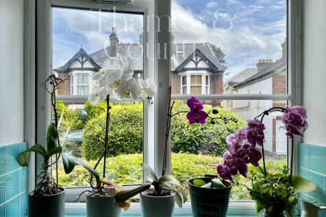 view from Kitchen