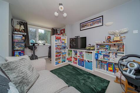 P1055578-Enhanced-NR.jpg
